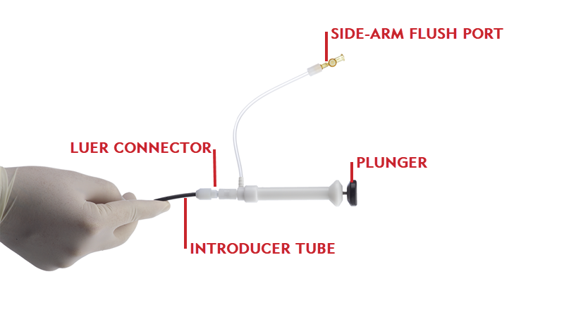 Needle's Eye Snare - Component Parts of the Introducer sheath